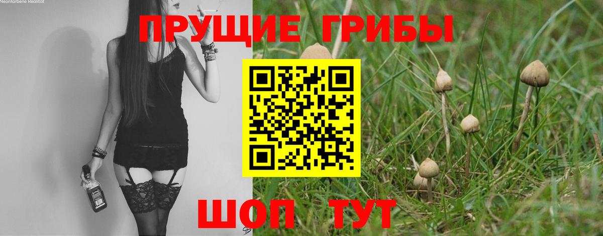 Галлюциногенные грибы прущие грибы Карпинск