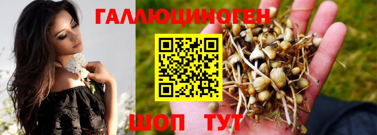 Карпинск  Псилоцибиновые грибы Psilocybine cubensis  Вход с VPN 